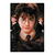 Rompecabezas Vulcanita 150 Piezas Harry Potter 1657