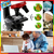 Microscopio Educacional Cientifico Newvision 100x 400x 1200x Microscope Educational Science C2121