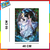Trefl 1000 Piezas 10593 Magical Universe - comprar online