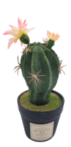 Cactus 187-4