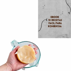 Kit scoby kombucha mais ebook com receitas e manual de cuidados impresso