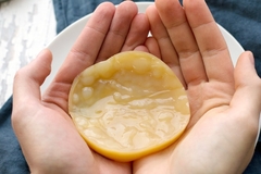 Scoby Para Kombucha Com cha de arranque Mais Manual De Cuidados Impresso