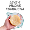 Kit 4 scoby kombucha com cha de arranque e manual de cuidados impresso