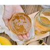 Scoby Para Kombucha Com Frete Gratis Mais cha de aranque e Manual De Cuidados Impresso