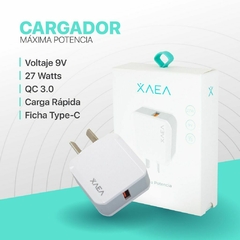 CARGADOR USB C XAEA MOD 10 - comprar online
