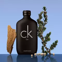 Calvin Klein CK BE Edt en internet