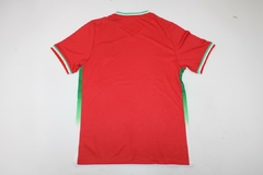 Camiseta Iran Suplente Roja 2022 2023 Qatar - comprar online