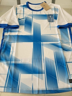 Camiseta Nike Grecia Titular 2024 2025 Euro 2024