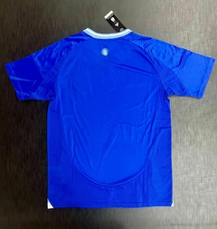 Camiseta Adidas Argentina Suplente Azul 2024 2025 Aeroready - Roda Indumentaria
