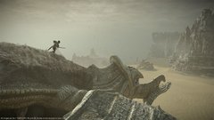 Shadow Of The Colossus PS4 - Gamer Man