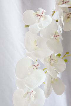 Vara orquídea blanca (19005-D2332-WH) - comprar online