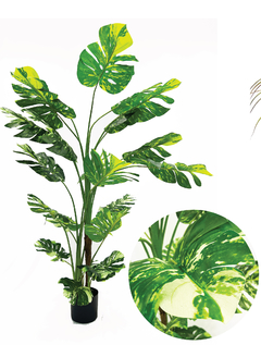 Monstera real touch (CH07828821)