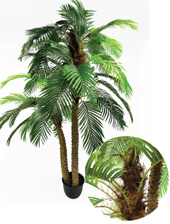 Areca real touch (CH10811805)