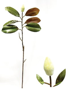 Follaje magnolia (XF88007-2)