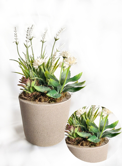 maceta bonsai blanca cemento (XD16-836-WH-CEM) - comprar online