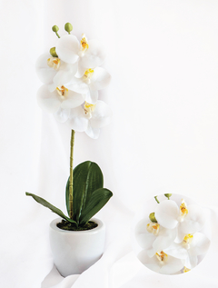 Orquídea en maceta ceramica blanca/blanca (F733KAD-WH-3001)