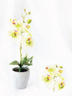Orquídea en maceta gris/blanca (XD17995-WH)