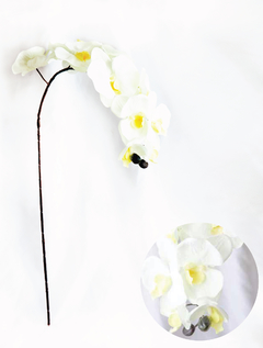 Vara orquídea (TF0719002D2316)