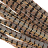 RING NECK PHEASANT TAIL POCKET ROCKETS ( 2 unidades largo 18/20 cm