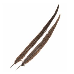 Pheasant Ringneck Tail WAPSI - comprar online