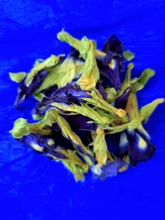 clitoria chá azul a granel solta, fundo azul.