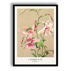 CUADRO LILIES N° 5