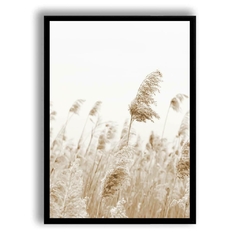 CUADRO PAMPAS GRASS I