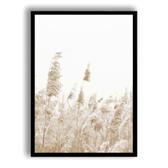 CUADRO PAMPAS GRASS II