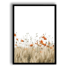 CUADRO POPPY FIELD II