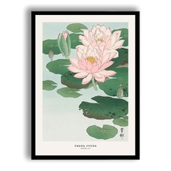 CUADRO WATER LILY