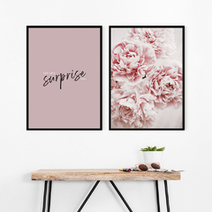 SET DE 2 CUADROS SURPRISE - comprar online