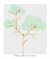 Árvore Cabideiro + adesivo verde pálido CAB004 - comprar online