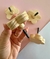Pendurador Flor Madeira pinus 6cm - comprar online