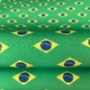 Lonita Bandeira do Brasil
