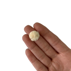 Pompom Malha Telinha Creme (1.5cm) - 10 unidades na internet