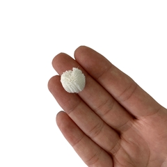 Pompom Malha Telinha Branco (1.5cm) - 10 unidades - comprar online