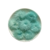 Aplique Pompom Pelinho Pequeno Metade Verde Água