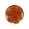 Aplique Pompom Pelinho Pequeno Metade Laranja