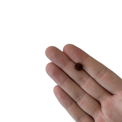 Pompom Mini Marrom (8mm) - 6 gramas - comprar online