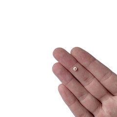 Miçanga Bolinha Cores Mistas (4mm) - 50 gramas - comprar online