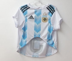 Camisa de futebol da Argentina - comprar online