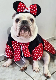 Fantasia de Minnie para pets