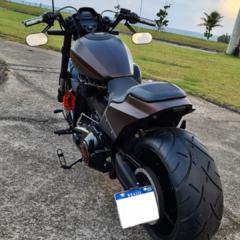 Suporte de Placa Lateral - Harley Davidson Softail FXDR - comprar online