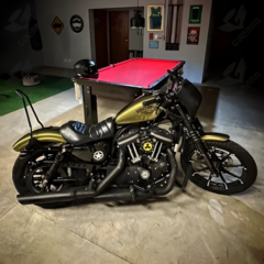Sissy Bar Old School - Harley Davidson Sportster - comprar online