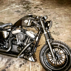 Capas de Bengala (Fork Cover) - Harley Davidson Forty Eight - 49mm - comprar online