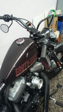 Imagem do Suporte De Luzes Indicadoras - Harley Sportster 883 / 1200 e Dyna