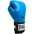 Guantes Everlast - Pro style 2 - 12 oz - Casinuevo Deportes