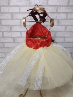 Vestido da moana para sales festa