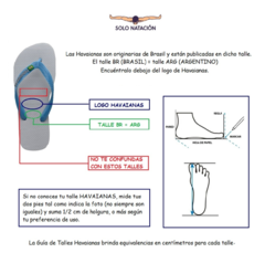 OJOTAS HAVAIANAS HOMBRE ALOHA MUSTARD (0486) - tienda online