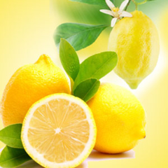 Essência GRINGA Lemon (5 ml)